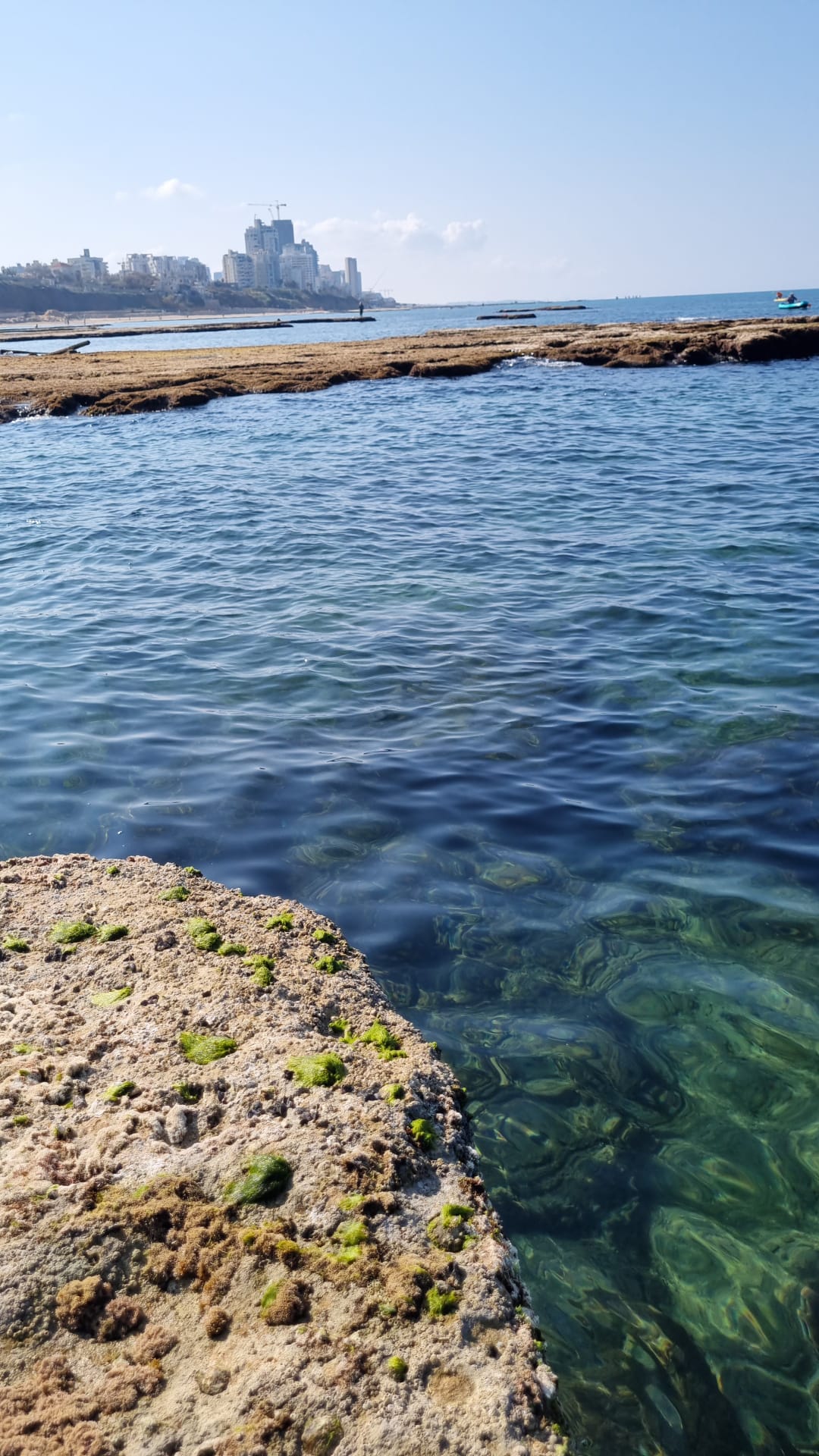 WhatsApp Image 2023-02-25 at 11.32.57 AM.jpeg